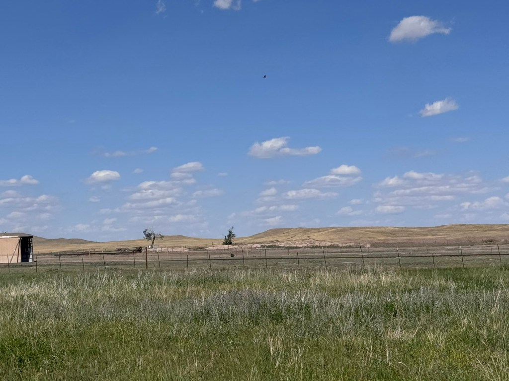What to do in the Wild Wild West…