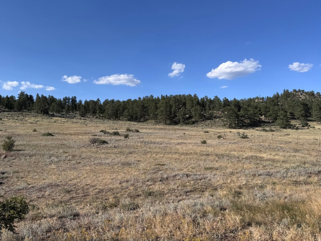 Red Feather Lakes, Part&nbsp;Deux